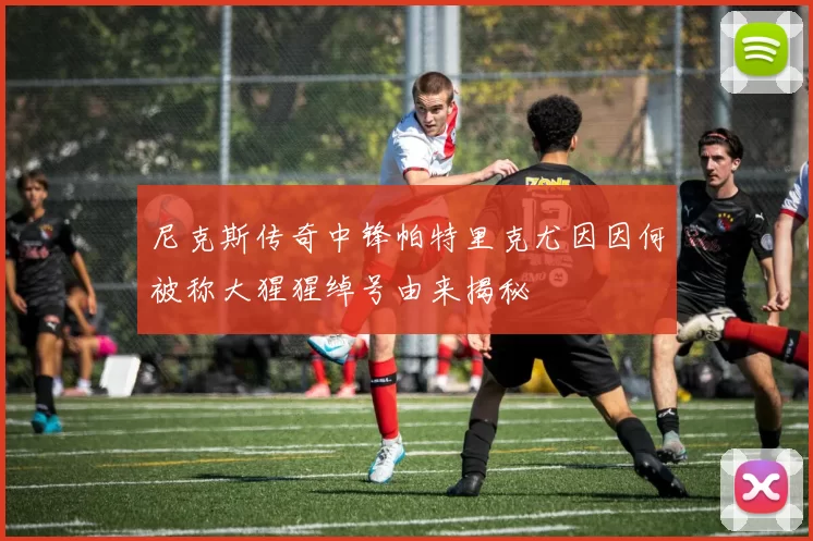 尼克斯传奇中锋帕特里克尤因因何被称大猩猩绰号由来揭秘