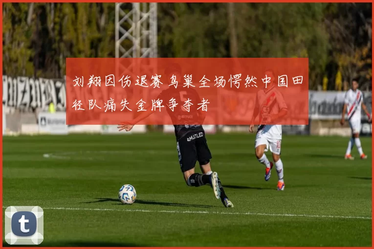 刘翔因伤退赛鸟巢全场愕然中国田径队痛失金牌争夺者