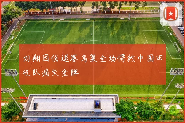 刘翔因伤退赛鸟巢全场愕然中国田径队痛失金牌